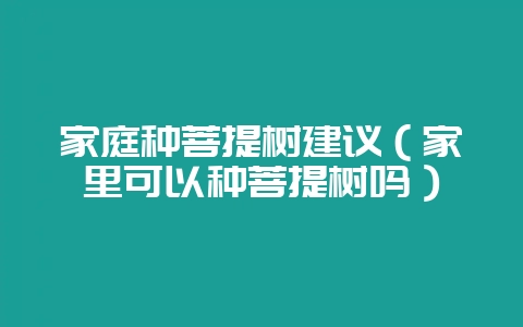 家庭种菩提树建议（家里可以种菩提树吗）-会东网