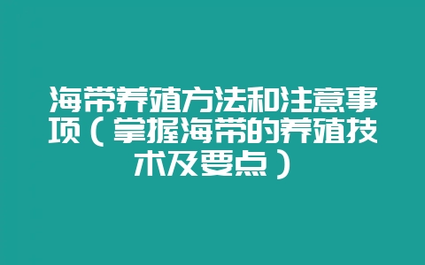 海带养殖方法和注意事项(掌握海带的养殖技术及要点)-会东网