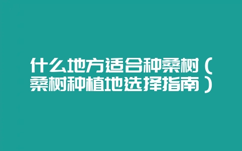 什么地方适合种桑树（桑树种植地选择指南）-会东网