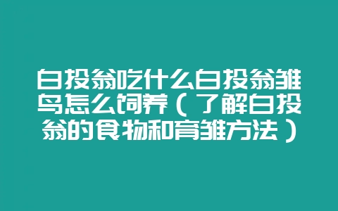 白头翁吃什么白头翁雏鸟怎么饲养（了解白头翁的食物和育雏方法）-会东网
