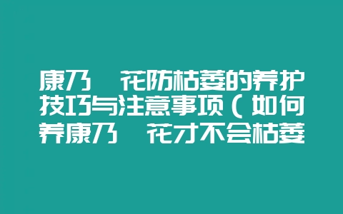 康乃馨花防枯萎的养护技巧与注意事项（如何养康乃馨花才不会枯萎-会东网
