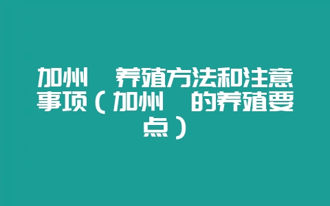 加州鲈养殖方法和注意事项（加州鲈的养殖要点）-会东网