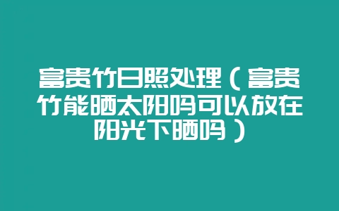 富贵竹日照处理(富贵竹能晒太阳吗可以放在阳光下晒吗)-会东网