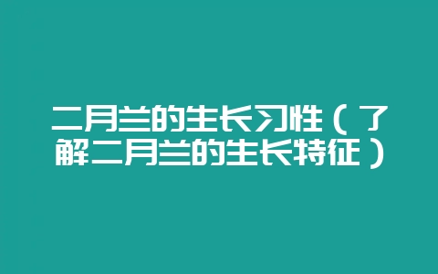 二月兰的生长习性(了解二月兰的生长特征)插图 二月兰的生长习性(了解二月兰的生长特征)插图