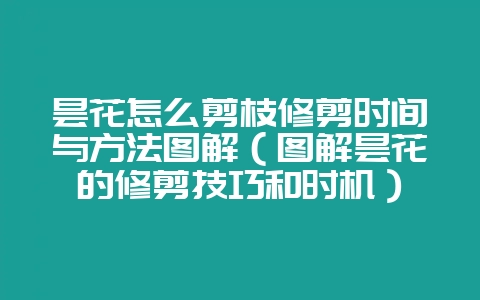 昙花怎么剪枝修剪时间与方法图解（图解昙花的修剪技巧和时机）-会东网