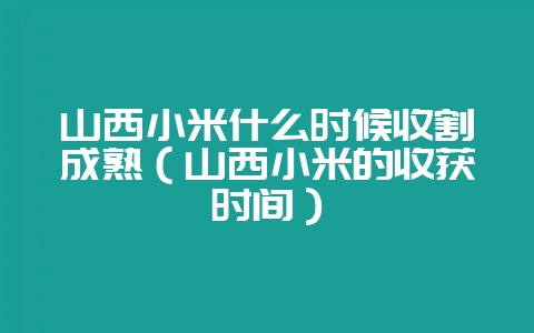 山西小米什么时候收割成熟(山西小米的收获时间)-会东网