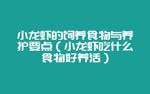 小龙虾的饲养食物与养护要点（小龙虾吃什么食物好养活）-会东网