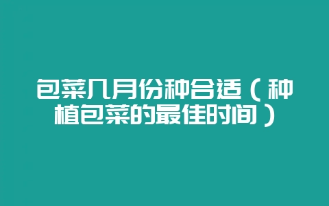 包菜几月份种合适（种植包菜的最佳时间）-会东网