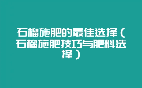 石榴施肥的最佳选择（石榴施肥技巧与肥料选择）-会东网