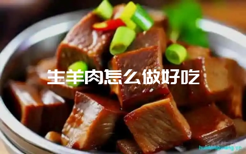 生羊肉怎么做好吃-会东网