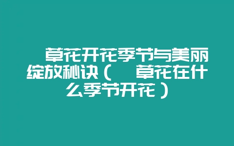 萱草花开花季节与美丽绽放秘诀（萱草花在什么季节开花）-会东网