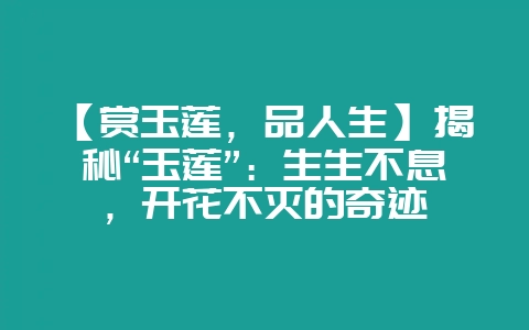 【赏玉莲,品人生】揭秘“玉莲”:生生不息,开花不灭的奇迹插图 【赏玉莲,品人生】揭秘“玉莲”:生生不息,开花不灭的奇迹插图