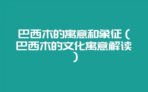 巴西木的寓意和象征（巴西木的文化寓意解读）-会东网