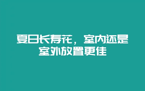 夏日长寿花，室内还是室外放置更佳-会东网