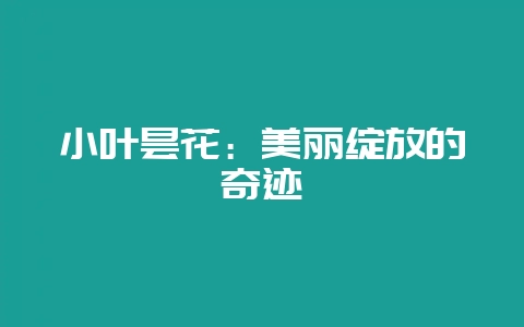 小叶昙花：美丽绽放的奇迹-会东网
