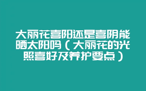 大丽花喜阳还是喜阴能晒太阳吗(大丽花的光照喜好及养护要点)-会东网