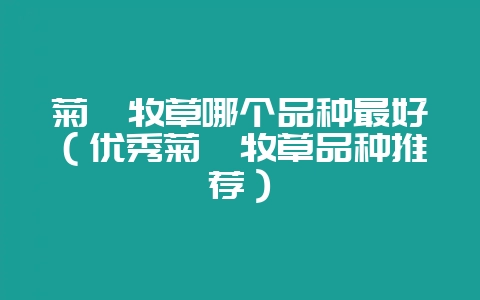 菊苣牧草哪个品种最好(优秀菊苣牧草品种推荐)-会东网
