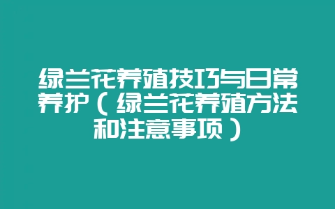 绿兰花养殖技巧与日常养护(绿兰花养殖方法和注意事项)-会东网