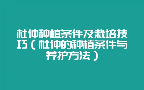 杜仲种植条件及栽培技巧（杜仲的种植条件与养护方法）-会东网