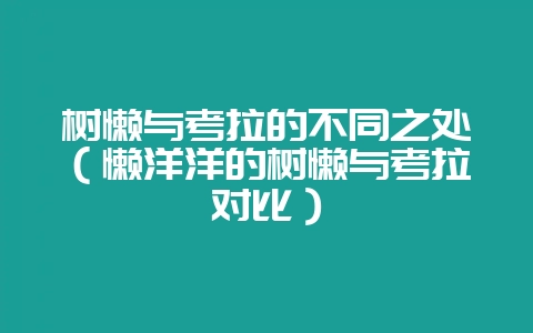 树懒与考拉的不同之处（懒洋洋的树懒与考拉对比）-会东网