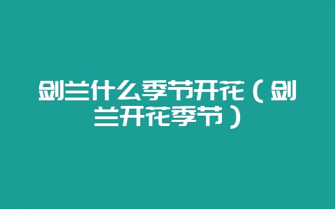 剑兰什么季节开花(剑兰开花季节)-会东网