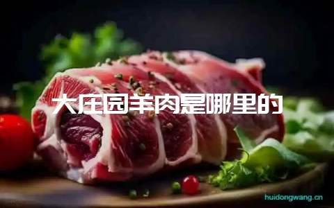 大庄园羊肉是哪里的-会东网