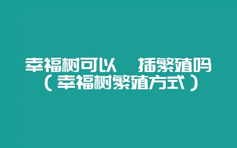 幸福树可以扦插繁殖吗（幸福树繁殖方式）-会东网