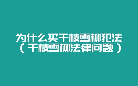 为什么买干枝雪柳犯法（干枝雪柳法律问题）-会东网