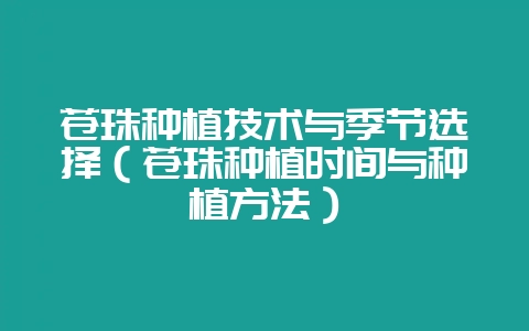 苍珠种植技术与季节选择（苍珠种植时间与种植方法）-会东网