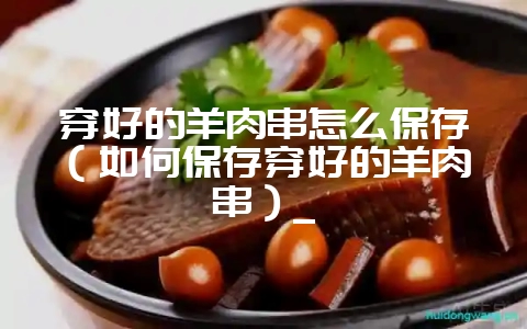 穿好的羊肉串怎么保存(如何保存穿好的羊肉串)_-会东网
