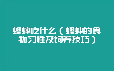 蟋蟀吃什么(蟋蟀的食物习性及饲养技巧)-会东网