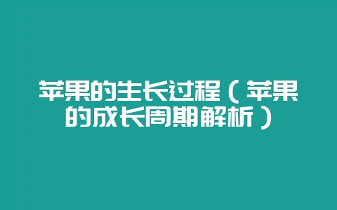 苹果的生长过程(苹果的成长周期解析)-会东网