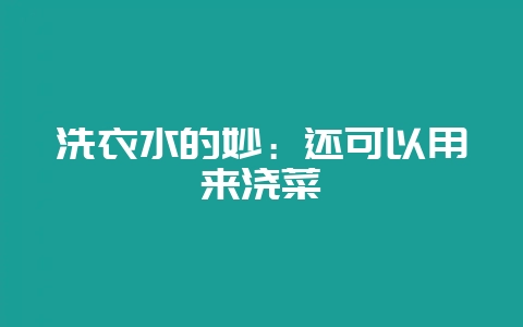 洗衣水的妙：还可以用来浇菜-会东网