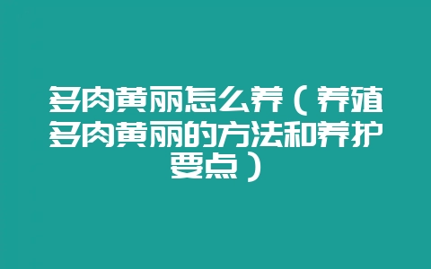 多肉黄丽怎么养（养殖多肉黄丽的方法和养护要点）-会东网