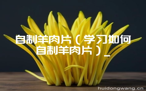 自制羊肉片(学习如何自制羊肉片)_-会东网