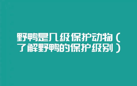 野鸭是几级保护动物(了解野鸭的保护级别)-会东网