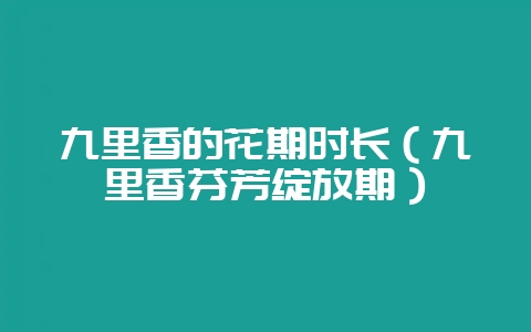九里香的花期时长（九里香芬芳绽放期）-会东网
