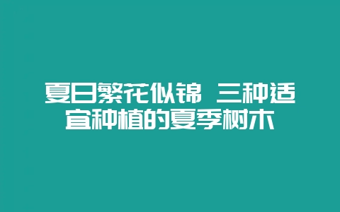 夏日繁花似锦 三种适宜种植的夏季树木-会东网
