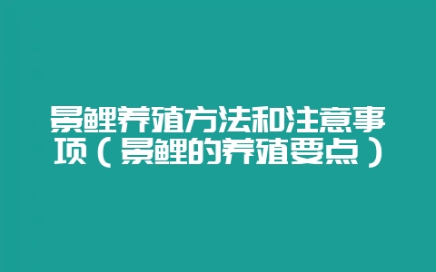 景鲤养殖方法和注意事项（景鲤的养殖要点）-会东网