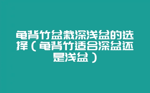 龟背竹盆栽深浅盆的选择(龟背竹适合深盆还是浅盆)-会东网