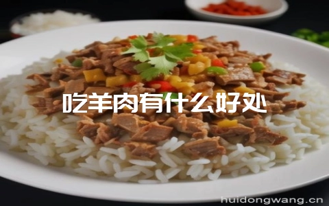 吃羊肉有什么好处-会东网