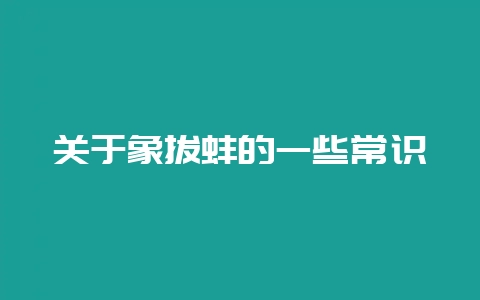 关于象拔蚌的一些常识-会东网