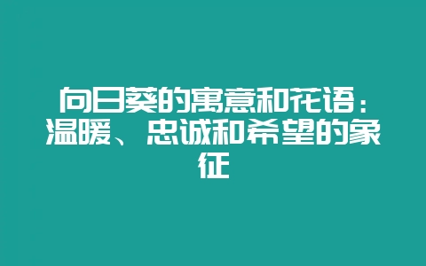 向日葵的寓意和花语：温暖、忠诚和希望的象征-会东网