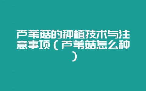 芦苇菇的种植技术与注意事项（芦苇菇怎么种）-会东网