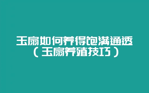 玉扇如何养得饱满通透（玉扇养殖技巧）-会东网