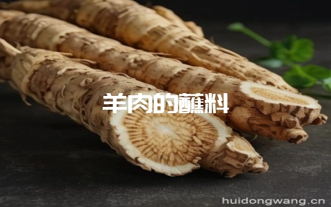 羊肉的蘸料-会东网