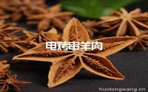 电烤串羊肉-会东网