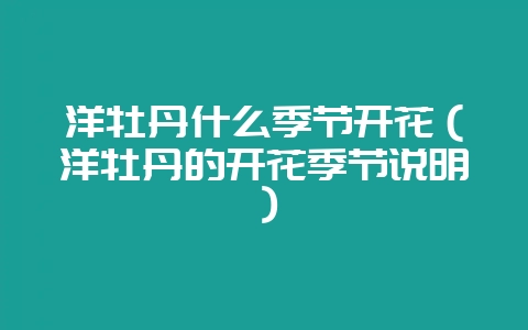 洋牡丹什么季节开花（洋牡丹的开花季节说明）-会东网