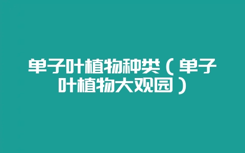 单子叶植物种类(单子叶植物大观园)-会东网