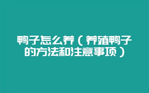 鸭子怎么养(养殖鸭子的方法和注意事项)-会东网